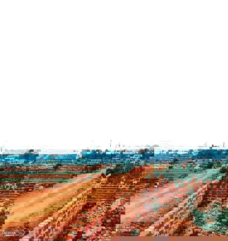 Plot For Sale in Patrapada