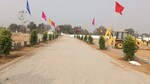 111 Sq.Yd. Plot in Ashiana Greens