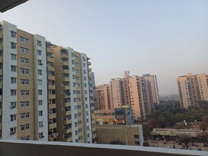 2 BHK Apartment For Rent in Tulip Lemon, Sector 69