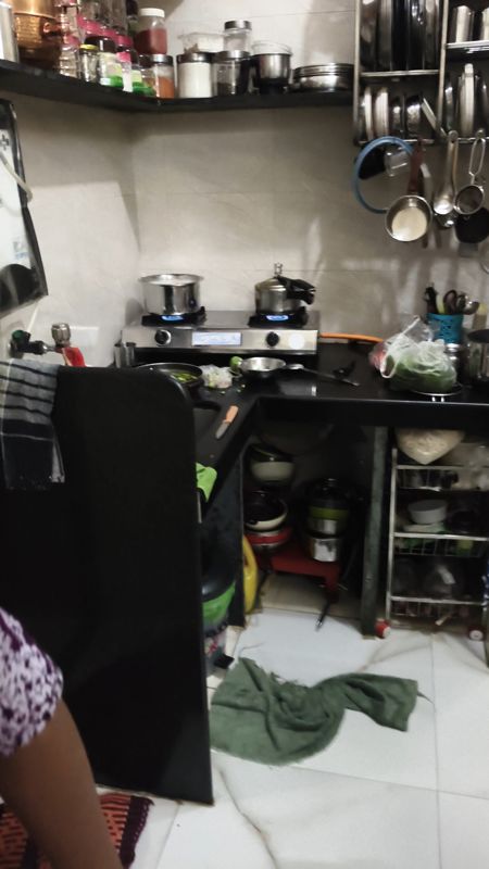 1 Rk+ Extra Room Apartment For Rent in Bhavani Mata CHS