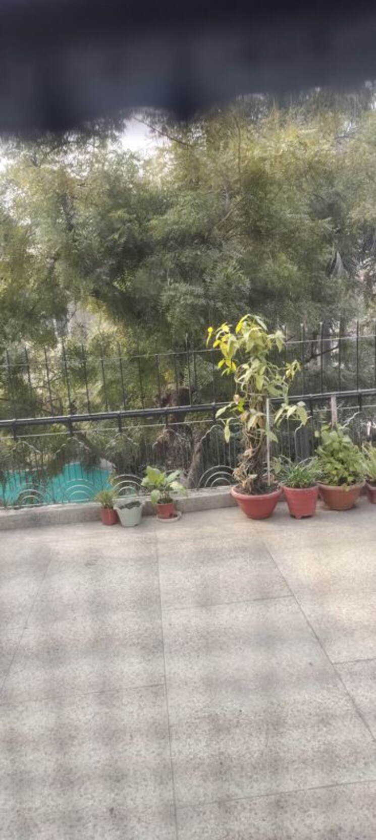Garden, janakpuri 2 Bedroom 1000 Sq.Ft. Apartment In Janakpuri Delhi 9782108