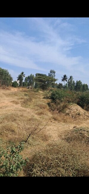 Plot Area in  Plot at Hosa Road – for Sale