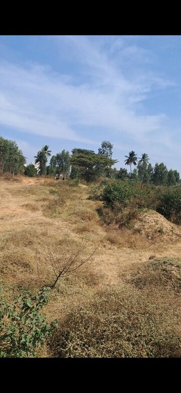 Plot Area in  Plot at Hosa Road – for Sale