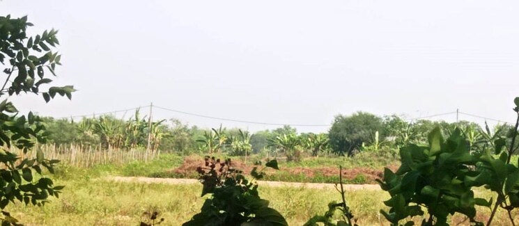 Garden, malancha bazar  1 Acre Plot In Malancha Bazar Kolkata 9782143