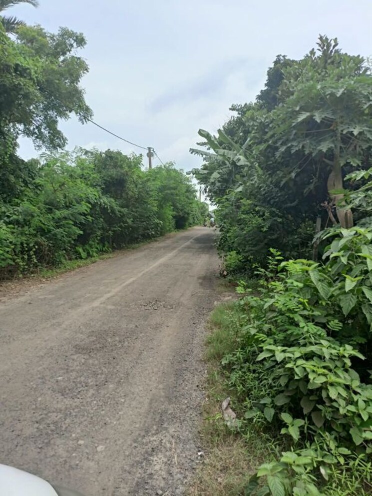 Garden, malancha bazar  1 Acre Plot In Malancha Bazar Kolkata 9782143