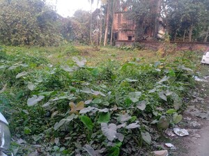 Plot For Sale in Sonarpur