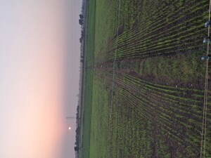  Plot For Sale in Vesu