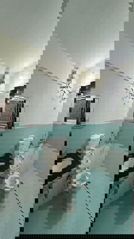 2 BHK Apartment For Rent in Dynasty