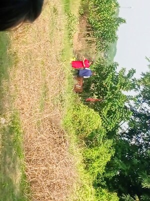 Plot Area in  Plot at Narayanpur – for Sale