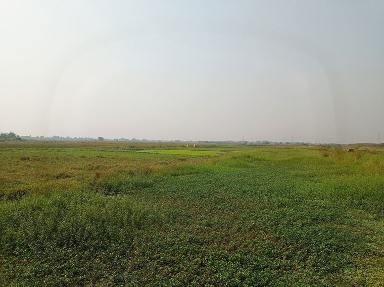 undefined, narayanpur  1441 Sq.Ft. Plot In Narayanpur Kolkata 9782242