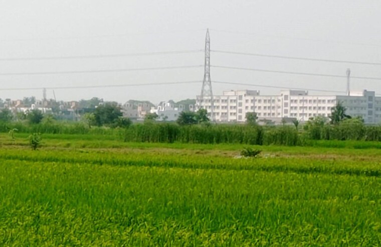 undefined, narayanpur  1441 Sq.Ft. Plot In Narayanpur Kolkata 9782242