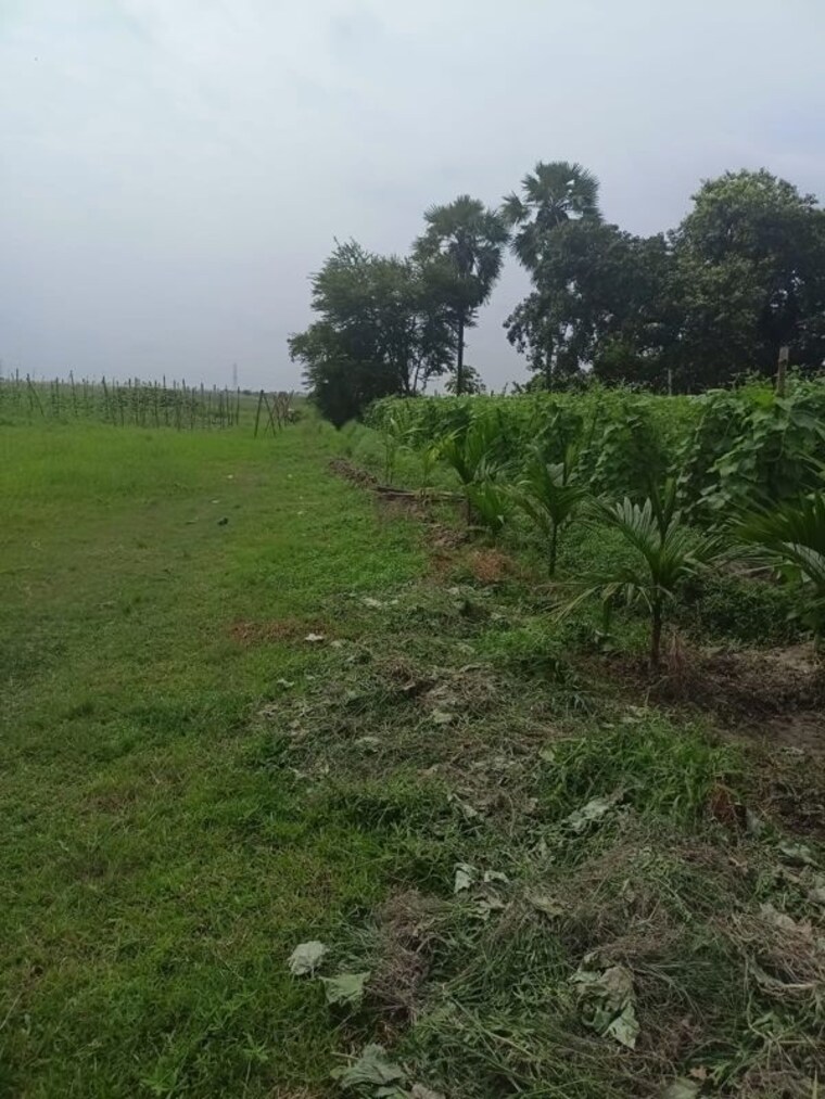 undefined, narayanpur  1441 Sq.Ft. Plot In Narayanpur Kolkata 9782242