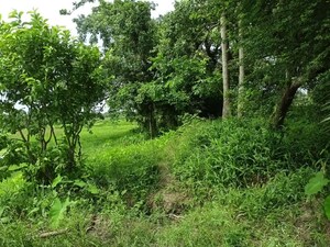 Plot Area in  Plot at Narayanpur – for Sale