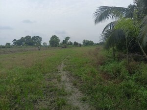 Plot Area in  Plot at Narayanpur – for Sale
