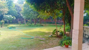 3 BHK Independent House – Garden View at Anangpur - for Rent