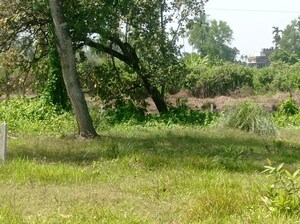 Plot Area in  Plot at Narayanpur – for Sale