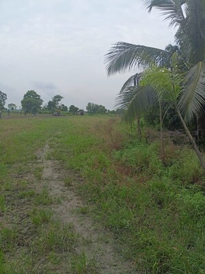Plot Area in  Plot at Narayanpur – for Sale