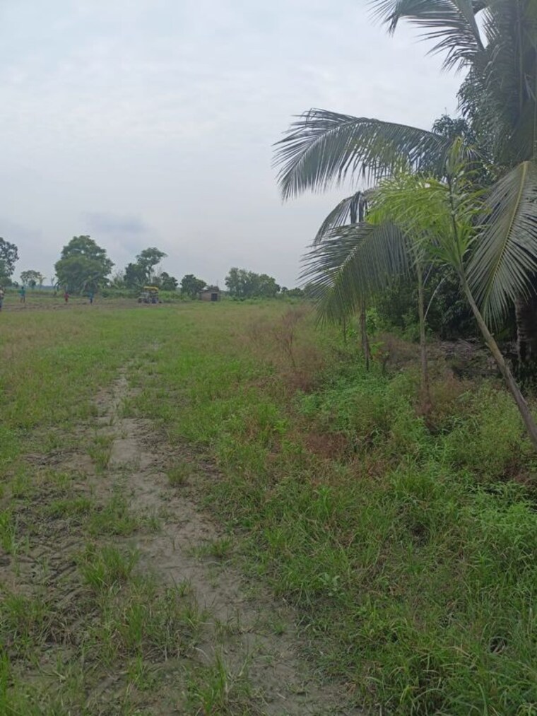 undefined, narayanpur  7241 Sq.Ft. Plot In Narayanpur Kolkata 9782427