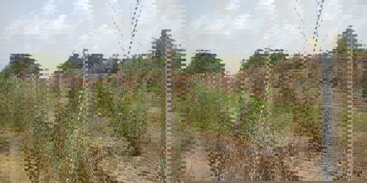 Plot For Sale in Vindhane