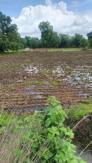 Plot Area in  Plot at Vashi – for Sale