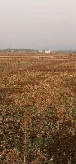 Plot For Sale in Vashi