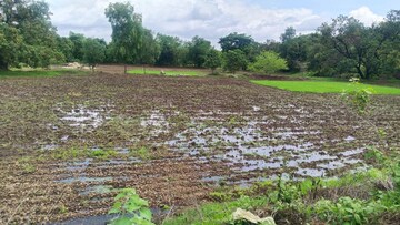 Plot Area in  Land at Dronagiri – for Sale