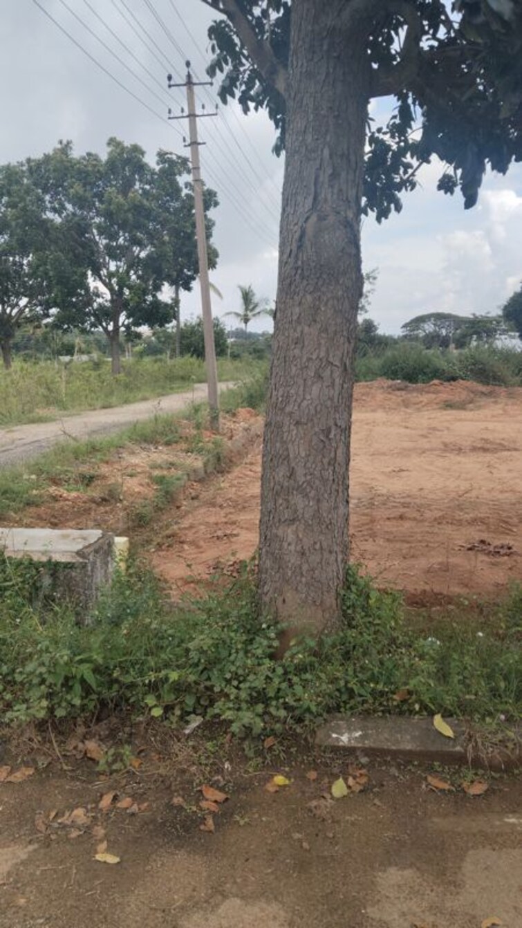 undefined, sarjapur  1200 Sq.Ft. Plot In Sarjapur Bangalore 9782620