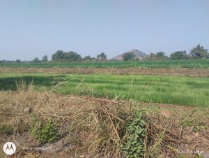 Plot Area in  Land at Simrol – for Sale