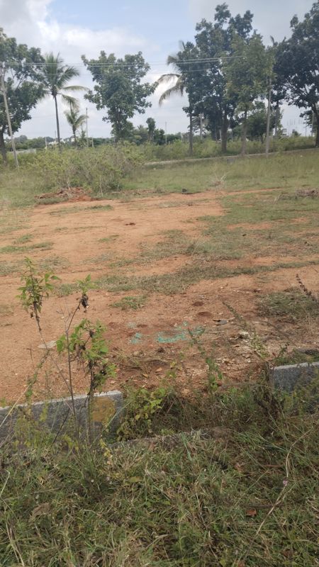 Plot For Sale in Sarjapur