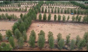 Plot Area in  Plot at Kodigehalli – for Sale