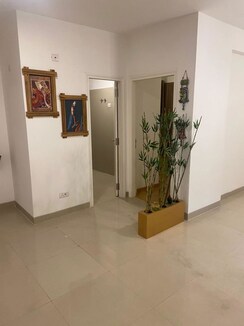 3 BHK Apartment For Sale in Paras Dews