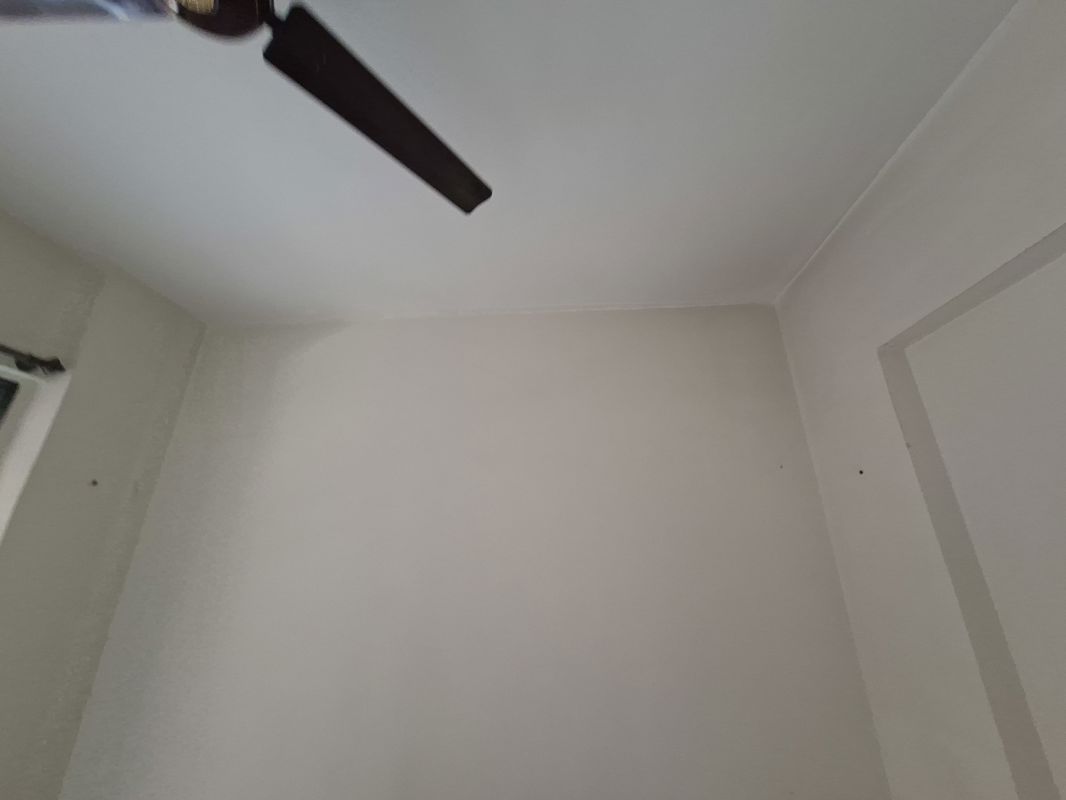 1 BHK + Extra Room Apartment For Rent in Iris CHS