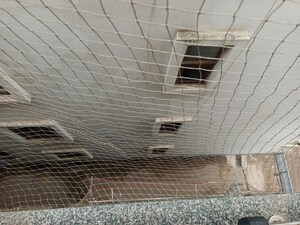  3 BHK Apartment at Tomar Colony – for Sale