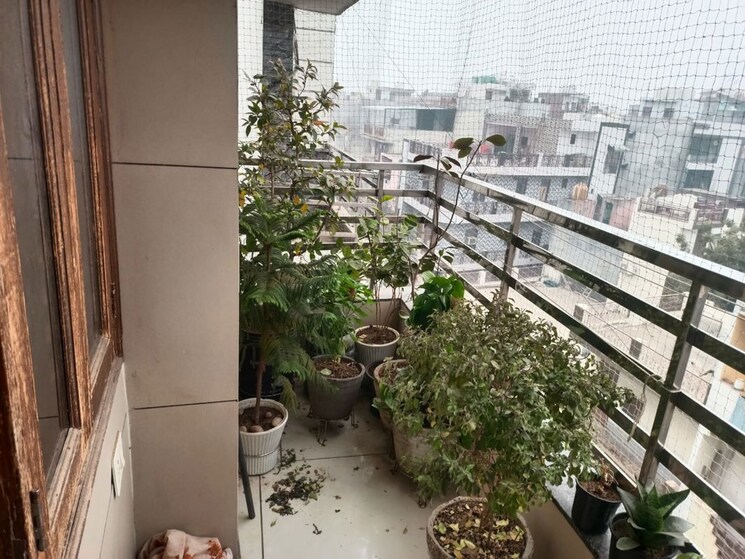 Balcony, tomar colony 3 Bedroom 900 Sq.Ft. Apartment In Tomar Colony Delhi 9783925
