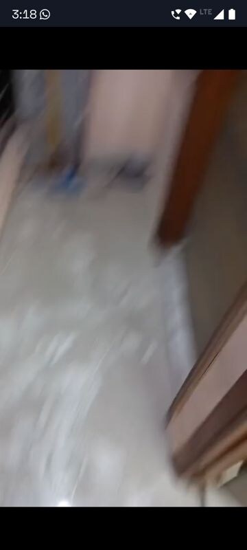 Room in 3 BHK Builder Floor at Malviya Nagar – for Rent