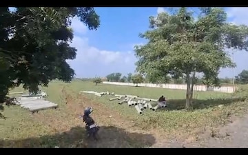 Plot Area in  Plot at Beldarichak – for Sale