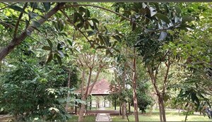  Plot – Garden View at Gauribidanur - for Sale