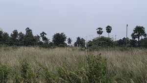 Plot Area in  Plot at Vinayagar Daspalla, Dasapalla Hills – for Sale