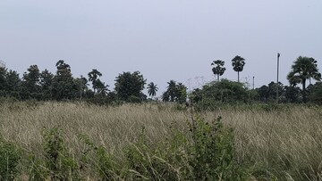 Plot Area in  Plot at Vinayagar Daspalla, Dasapalla Hills – for Sale