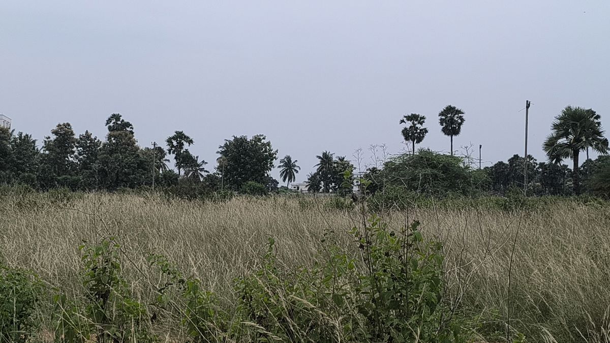 Plot Area in  Plot at Vinayagar Daspalla, Dasapalla Hills – for Sale