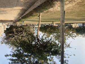 Plot Area in  Plot at Gaur Yamuna City 32nd Park View, Gaur Yamuna City – for Sale