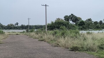 Plot Area in  Plot at Vinayagar Daspalla, Dasapalla Hills – for Sale