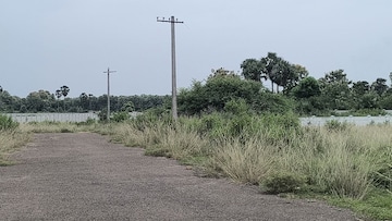 Plot Area in  Plot at Vinayagar Daspalla, Dasapalla Hills – for Sale