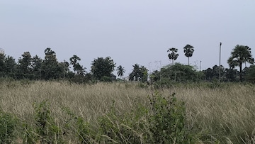 Plot Area in  Plot at Vinayagar Daspalla, Dasapalla Hills – for Sale