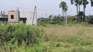 Plot Area in  Plot at Vinayagar Daspalla, Dasapalla Hills – for Sale
