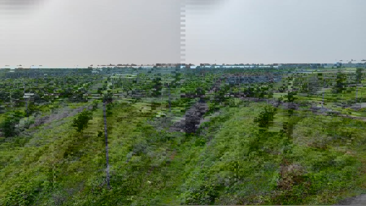 Plot For Sale in Tappal