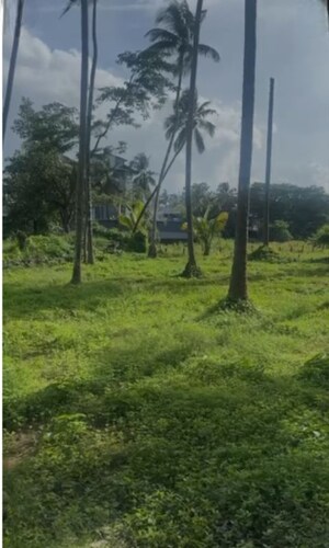  Plot – Garden View at Cheroor - for Sale