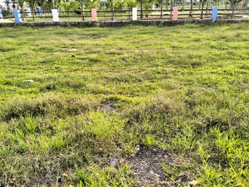  Plot For Sale in Mansanpalle