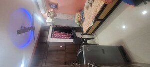 1 BHK Apartment For Rent in Pride Park, Dhokali