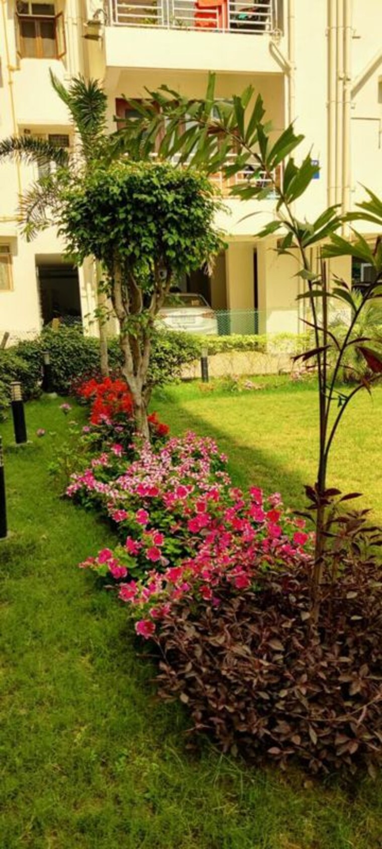 Garden, sector 23 dwarka 4 Bedroom 2000 Sq.Ft. Apartment In Sector 23 Dwarka Delhi 9786428